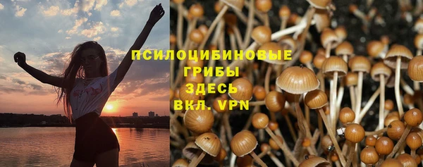 мдпв Ростов