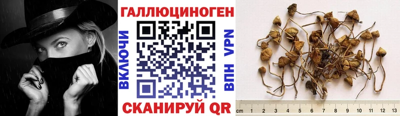 Псилоцибиновые грибы MAGIC MUSHROOMS  MEGA tor  Кашира 